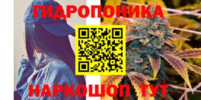 MDMA Будённовск