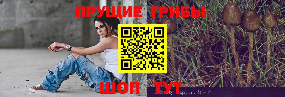 Псилоцибиновые грибы Magic Shrooms  Вход с VPN  Новокуйбышевск 